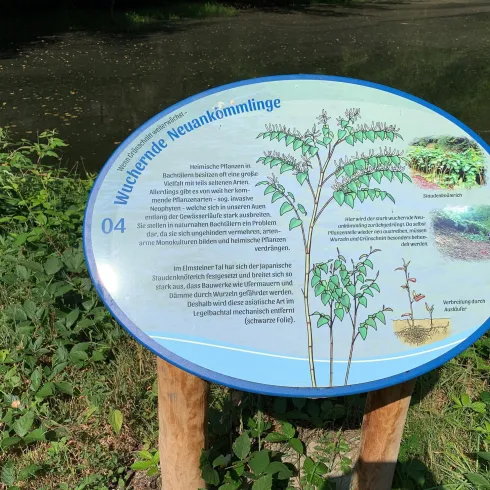 Wenn Grünschnitt weiterwächst-Infotafel 4