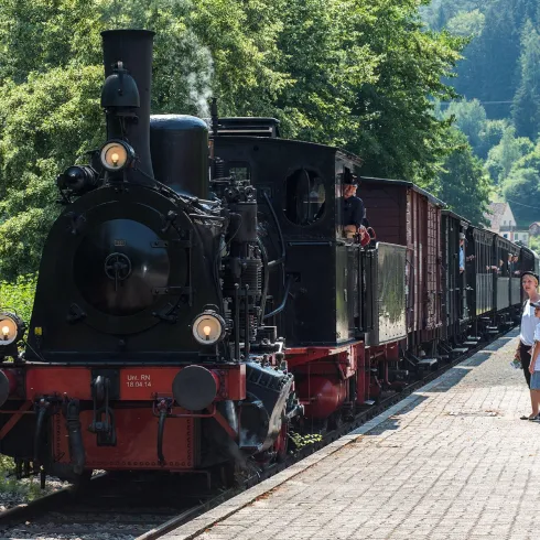 Historisches Kuckucksbähnel - Endstation Elmstein