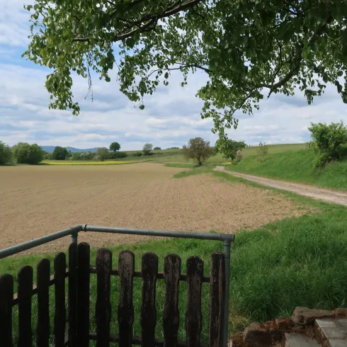 Blick Rastplatz Wassertretbecken Freckenfeld