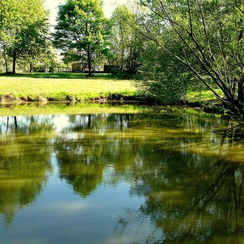Katzweiler Landschaftsweiher mit Wassertretbecken (© Tourist-Info Otterbach-Otterberg)