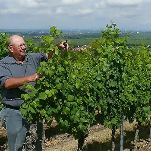 Winzermeister Robert Anthon Winzermeister Robert Anthon