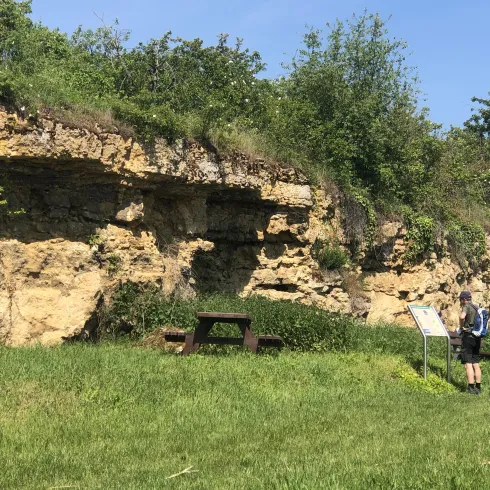 Kalksteinwand bei Kallstadt (© urlaubsregion Freinsheim)