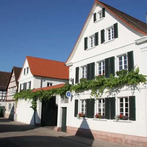 Weingut Grün Weingut Grün