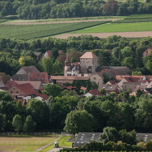 Blick auf Wachenheim im Zellertal (© VG Monsheim Fotograf Carsten Costard) Blick auf Wachenheim im Zellertal (© VG Monsheim Fotograf Carsten Costard)