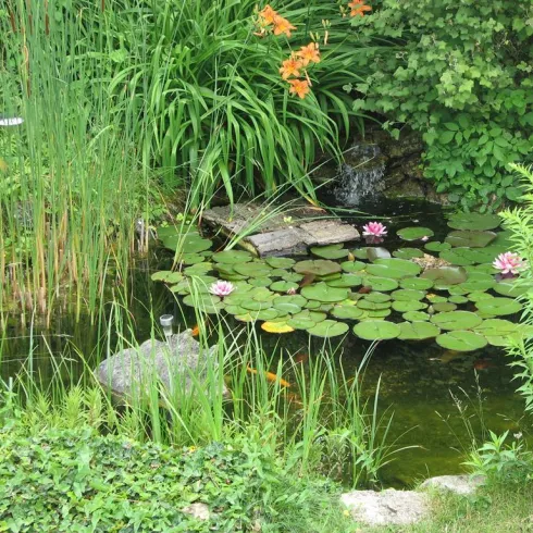 Gästehaus Schenk Garten Gästehaus Schenk Garten