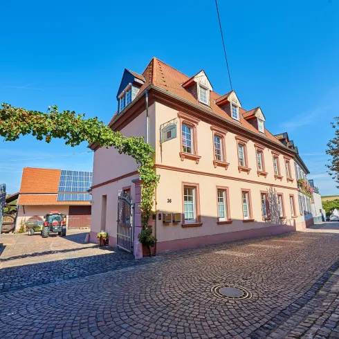 Weingut Rauschkolb (© Weingut Rauschkolb)