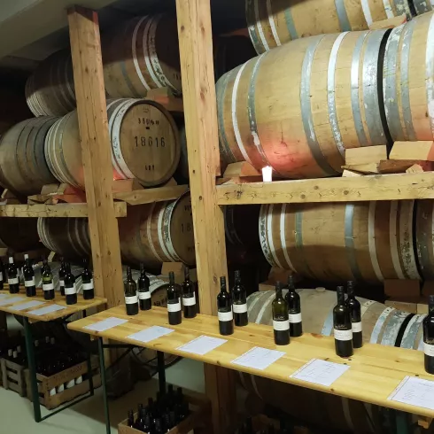 Wein- & Sektgut, Destillerie Bergkeller 1