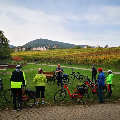 E-Bike Genusstour_Herbst (© Peter Mohr) E-Bike Genusstour_Herbst (© Peter Mohr)