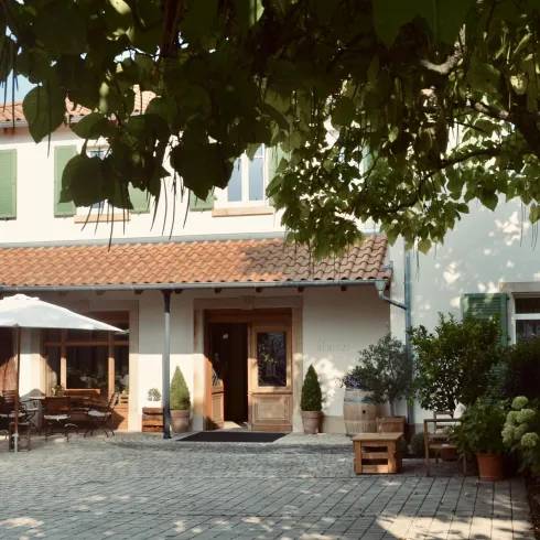 Weingut (© Weingut Berizzi)