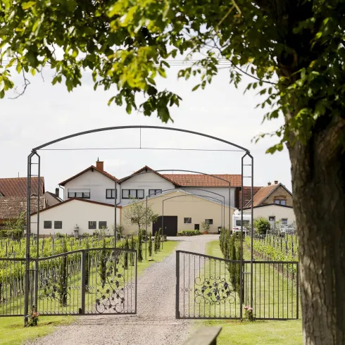 Weingut Fitz-Schneider (© Weingut Fitz-Schneider)