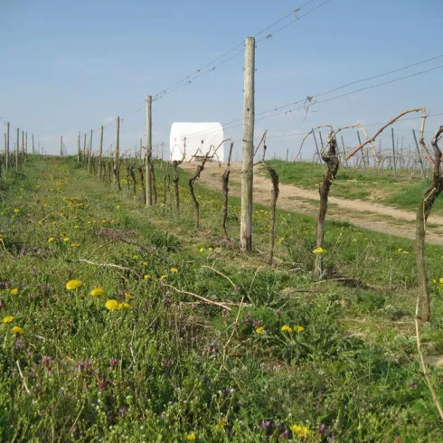 Schindhohl Trullo (© Michael Röhrenbeck)