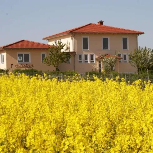 Weingut Holz-Liebrich (© Weingut Holz-Liebrich)