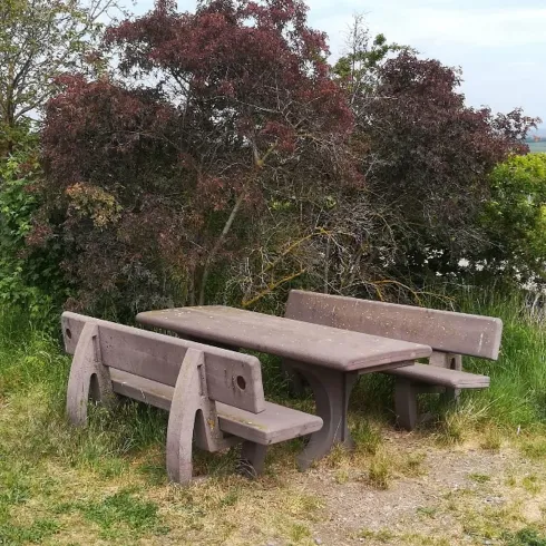 Rastplatz 3 Bild 1 (© Urlaubsregion Freinsheim)
