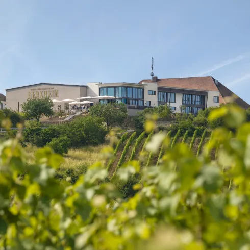 Winzergenossenschaft H/Bg. (© miert - Copyright PFALZWEINFOTO.png)
