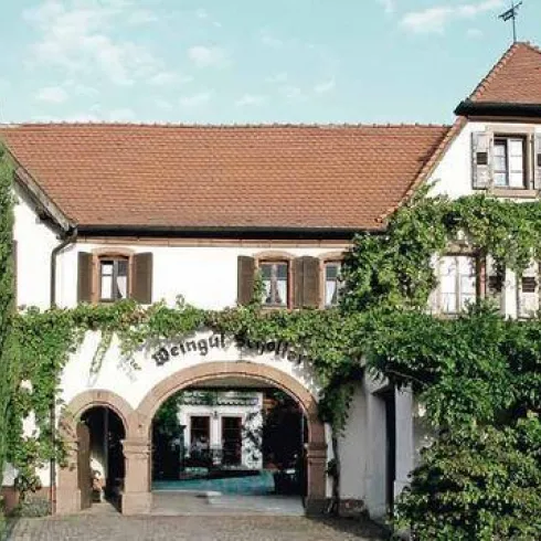 Weingut Scholler Hausansicht (© Weingut Scholler) Weingut Scholler Hausansicht (© Weingut Scholler)