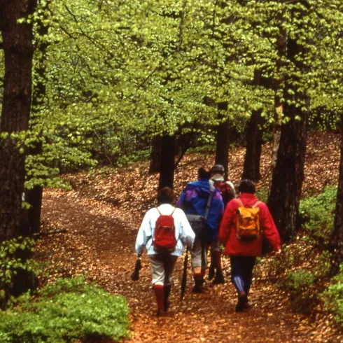 Wandern