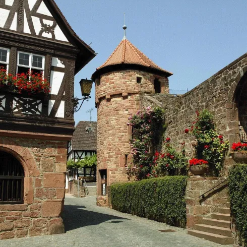 Dörrenbach (© Tourismusverein SÜW Bad Bergzabern e. V.) Dörrenbach (© Tourismusverein SÜW Bad Bergzabern e. V.)