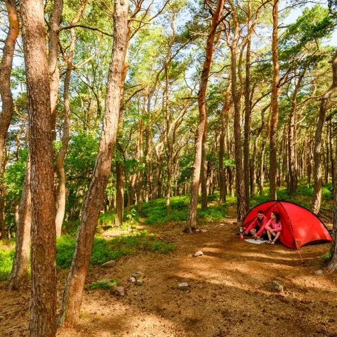 Zelt auf der Trekkingplatz im Pfälzerwald
