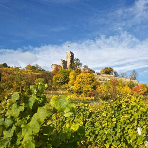 Blick auf die Burgruine Wachtenburg im Herbst