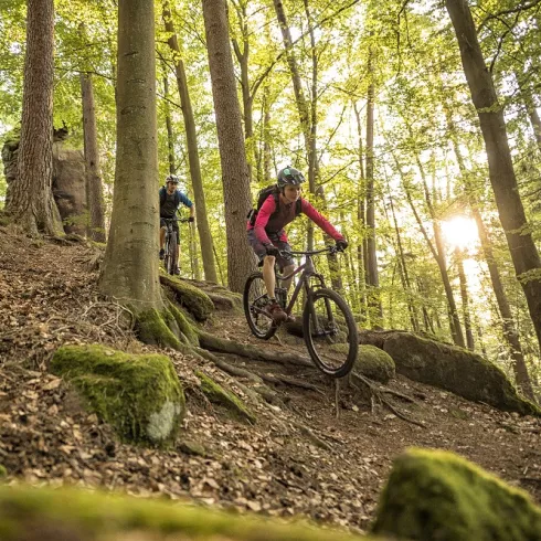 Zwei Mountainbiker auf einem Trail im Mountainbikepark Pfälzerwald