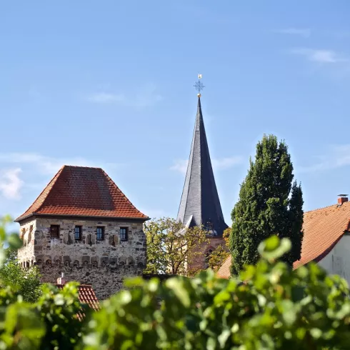 Historische Stadtmauer Freinsheim