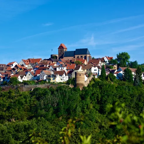 Blick auf das Wein- und Burgdorf Neuleiningen