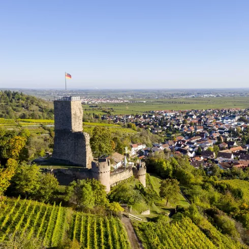Blick auf die Wachtenburg und Wachenheim
