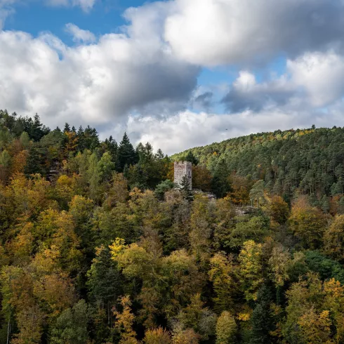 Burg Erfenstein im Pfälzerwald
