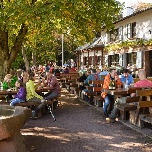 Pfälzerwald-Hütte Hohe Loog