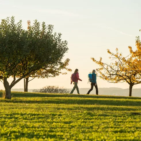 Zwei Wanderinnen wandern über eine herbstliche Wiese