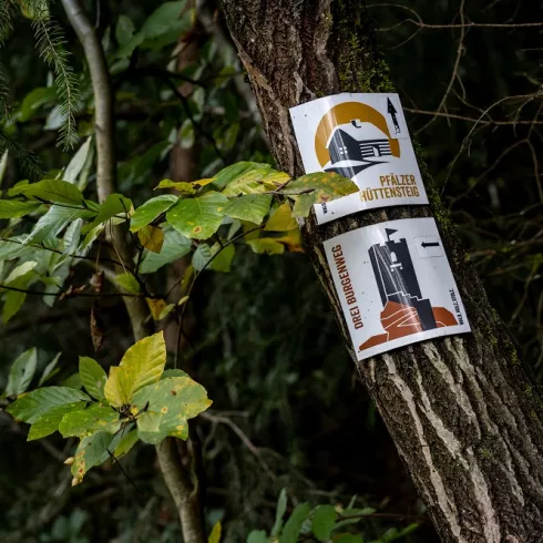 Zwei Wanderwege-Logos am Baumstamm