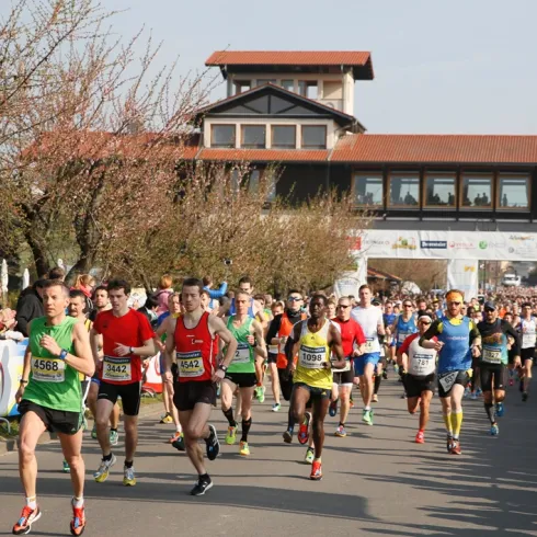 Marathon Deutsche Weinstraße