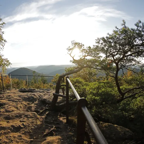 Aussicht vom Drachenfels