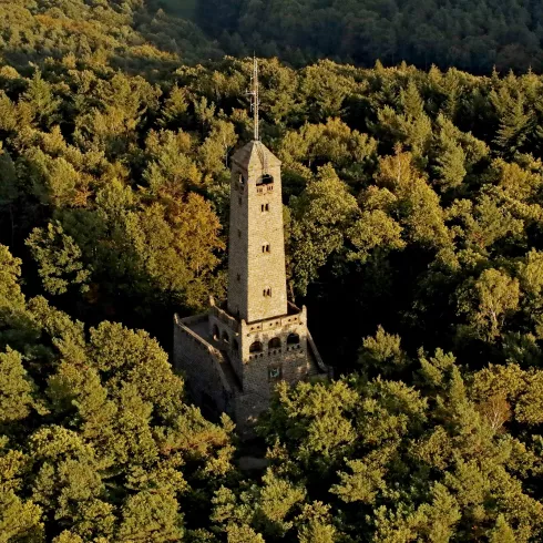 Bismarckturm im Pfälzerwald