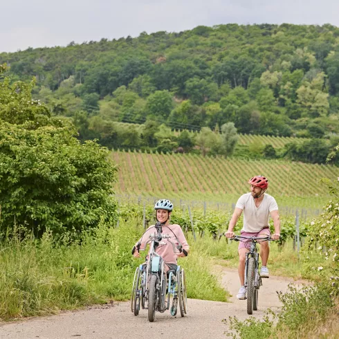 Eine Handbikerin und ein Radfahrer radeln durch Weinlandschaft